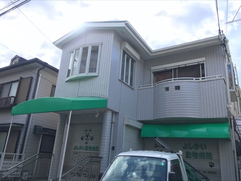 阪急夙川駅近くY動物病院のリフレッシュ工事です！